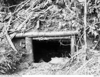 CANNING'S SADDLE, NEW GUINEA. 1944-01-21. CLOSE-UP OF A WELL CONSTRUCTED JAPANESE DUGOUT ON MOUNT PROTHERO