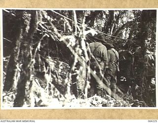 MOUNT PROTHERO, NEW GUINEA. 1944-01-22. TROOPS OF THE 2/12TH INFANTRY BATTALION IN A FORWARD POSITION ON MOUNT PROTHERO