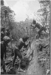 Trail-building: men use digging sticks and shovels to terrace a hillside for a path