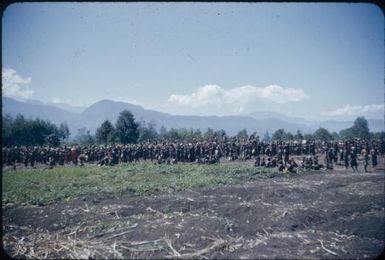 New Year's Day festivities at Minj Station, 1955 : Minj Station, Wahgi Valley, Papua New Guinea, 1954 / Terence and Margaret Spencer