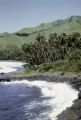 Oceania, shoreline of island in South Pacific