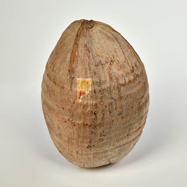 Coconut with two postage stamps