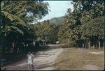 Road and scenery, Papetoai, Moorea