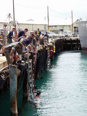 US Navy (USN) divers from Mobile Diving and Salvage Unit ONE (MDSU-1) and Japanese divers from Ship Repair Facility, Yokosuka, Japan, conduct pier-side dry-suit indoctrination at the MDSU compound in Pearl Harbor, Hawaii (HI)