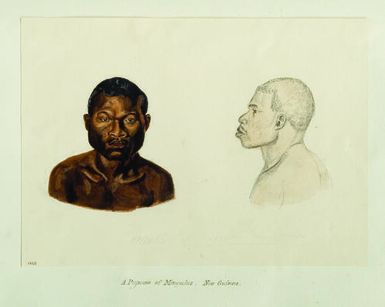 A Papuan of Mengeelas, New Guinea