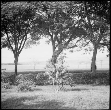 View across Chinnery's garden towards harbour with two moored ships includingHMAS Australia [?] , Malaguna Road, Rabaul, New Guinea, ca. 1936 / Sarah Chinnery