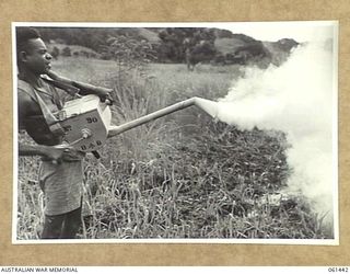 DUMPU, NEW GUINEA. 1943-12-06. A NATIVE EMPLOYED BY THE 18TH AUSTRALIAN ANTI-MALARIAL CONTROL UNIT OPERATING A ROTARY BLOWER FULL OF DDT POWDER DURING AN ANTI MALARIAL CAMPAIGN IN THE AREA