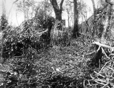 [Camouflaged Japanese Gun]