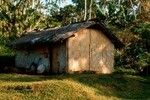 Typical thatch and bamboo house