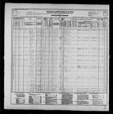 1940 Census Population Schedules - Hawaii - Maui County - ED 5-34
