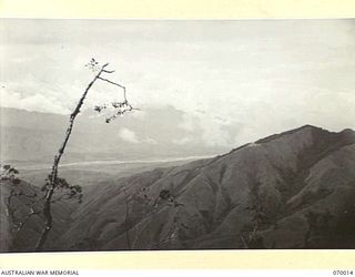 SHAGGY RIDGE, NEW GUINEA. 1944-01-10. THE RAMU VALLEY FROM THE "PIMPLE". ONE OF THE FEW TREES LEFT AFTER ARTILLERY POUNDING IS IN THE FOREGROUND. THIS IS AN OPERATIONAL AREA OF THE 2/9TH INFANTRY ..