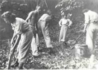 Ninth General Hospital. World War II. Hollandria, New Guinea.
