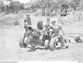 DALLMAN RIVER, NEW GUINEA, 1944-02-23. MEMBERS OF THE 2/14TH FIELD REGIMENT MANHANDLING A SHORT 25 POUNDER GUN. IDENTIFIED PERSONNEL ARE: VX31234 BOMBARDIER P.E. WILKINS (1); VX76190 GUNNER ..