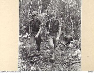 TOROKINA AREA, BOUGAINVILLE ISLAND. 1944-11-29. QX51409 PRIVATE H.T. POWELL (1) AND QX50481 SERGEANT J.T. NOLAN ACTING PLATOON COMMANDER, NO.18 PLATOON, D COMPANY, 9TH INFANTRY BATTALION (2) ..