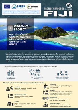 Project Snapshot - Fiji