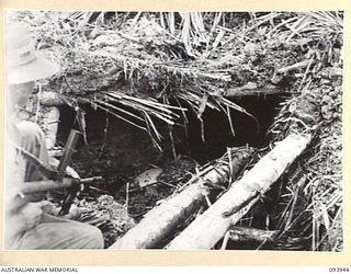 ULUPU, NEW GUINEA, 1945-07-09. CPL H.G. PATERSON, D COMPANY, 2/5 INFANTRY BATTALION EXAMINING THE REMAINS OF A JAPANESE WEAPON PIT. A DEAD JAPANESE SOLDIER CAN BE SEEN IN THE BACKGROUND. THERE WERE ..