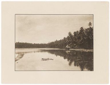 Lagoon and fish farm, Naoero.  From the album: Banaba (Ocean Island)