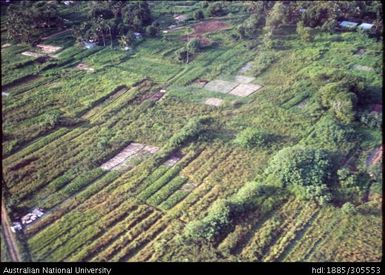 Farming in Aitutaki