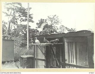 LAE, NEW GUINEA. 1944-06-09. PIGEONS MOVING THROUGH A TRAPPING BOARD AFTER ALIGHTING ON THE ROOF OF A LOFT AT HEADQUARTERS 1ST PIGEON SECTION, LAE