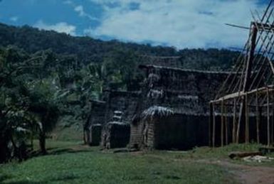 [Thatch dwellings in Suva, Fiji]