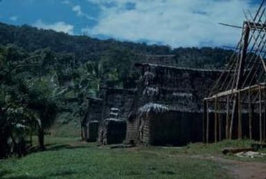 [Four dwellings in Suva, Fiji]