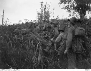 SATTELBERG AREA, NEW GUINEA. 1943-11-17. TROOPS OF THE 2/48TH AUSTRALIAN INFANTRY BATTALION READY TO MOVE OVER THE TOP TO ATTACK JAPANESE POSITIONS ON SATTELBERG. SHOWN ARE: SX17852 PRIVATE D. C. ..