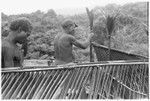 Consecration of feasting platform with bespelled cordyline, here being tied to the platform