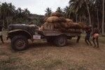 Loading bags of Copra Lamango Plantesen