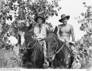 PORT MORESBY, PAPUA. 1942-07. EXPERT HORSEMEN DURING PEACETIME, THESE QUEENSLANDERS ARE NOW SERVING WITH THE AUSTRALIAN INDEPENDENT LIGHT HORSE TROOP IN NEW GUINEA. THEY ARE TYPICAL OF THE MANY ..