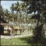 Boys playing with ball