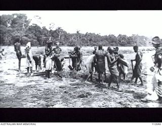 MAPRIK, NEW GUINEA, 1945. ONE OF A SERIES OF PHOTOGRAPHS PRODUCED IN THE HOUSE OF REPRESENTATIVES, CANBERRA, ACT, ON 1 JUNE 1945 BY THE RT HON A W FADDEN, LEADER OF THE AUSTRALIAN COUNTRY PARTY IN ..