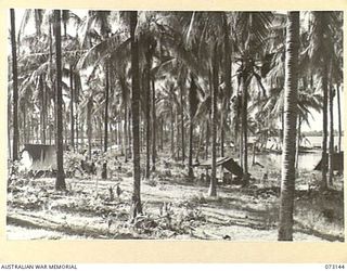 ALEXISHAFEN, NEW GUINEA. 1944-05-12. THE VIEW BEYOND THE NORTH SHORE OF ALEXISHAFEN LOOKING SOUTH EAST ACROSS THE SOUTHERN TIP OF VITAR PLANTATION. SEK ISLAND LIES IN THE EXTREME BACKGROUND. (JOINS ..