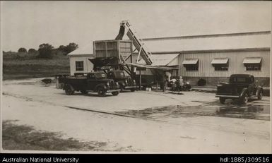 Discharging waste from hopper, Pineapple Cannery