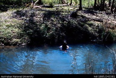Mona in the spring at Borroloola