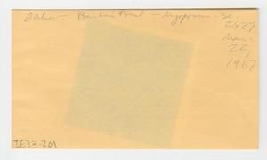 [Myoporum in Hawaii, envelope IE33-201]