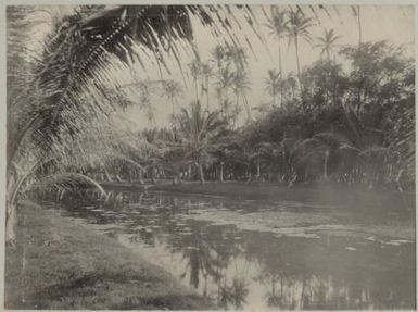 View of a waterway, Tonga, approximately 1895