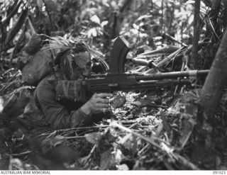 BOUGAINVILLE. 1945-04-17. PRIVATE J.E. DAVIES, 24 INFANTRY BATTALION, CONCEALED BEHIND A TREE WITH HIS BREN GUN DURING AN ATTACK AGAINST THE JAPANESE AT HATAI JUNCTION, BUIN ROAD