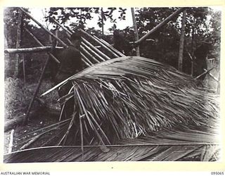 BERIMU VILLAGE, NEW GUINEA, 1945-08-05. PTE D.L. DANAHER (1) AND PTE E.G. HEADLAND (2), MEMBERS OF 2/7 INFANTRY BATTALION ON A SIX DAY PATROL INTO ENEMY TERRITORY, ERECTING FOR THEMSELVES A SMALL ..
