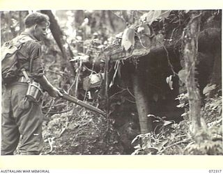 YAULA, NEW GUINEA. 1944-04-12. V160851 PRIVATE R.L. VAUGHAN, 57/60TH INFANTRY BATTALION EXAMINES A JAPANESE FOXHOLE DURING THE ADVANCE ON THE BAGADJIM ROAD