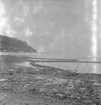 View of beach with fish traps?