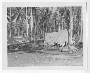 [Quartermaster Area on Guadalcanal]