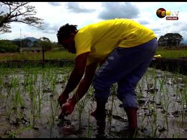 FARMERS COMPLETE INTERNSHIP