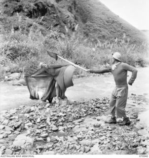 ZENAG, NEW GUINEA, 1944-02-27. PRESENTATION OF BURLESQUE ON BUTTERFLY HUNTING (A POPULAR PASTIME WITH TROOPS IN NEW GUINEA), BY MEMBERS OF THE 2/9TH FIELD COMPANY, ROYAL AUSTRALIAN ENGINEERS, ..