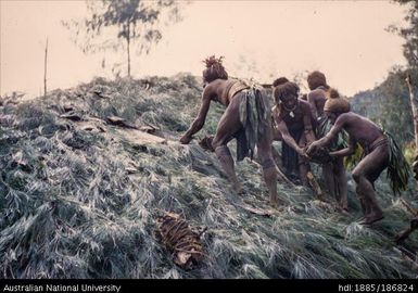 Mendi people repairing a roof