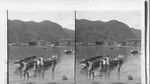 Harbor of Pago-Pago, showing S.S. Sonoma at naval dock, along with old training ship, Adams (looking N.E.). Samoan Islands