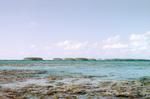 Fishing expedition to trap reef-crossing schools of fish at the stone fishtraps at the Ahagaloa 2.7.76