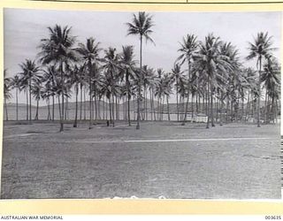 PORT MORESBY - VIEW OF FAIRFAX HARBOUR, THROUGH COCOANUT PALMS, AS SEEN FROM FLAT IN FRONT OF ARMY AND AIR FORCE CAMPS. RAAF SURVEY FLIGHT. (NEGATIVE BY N. TRACY)