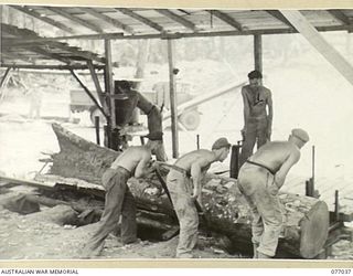 BOUGAINVILLE ISLAND, 1944-11-17. PERSONNEL OF THE 2/2ND FORESTRY COMPANY ROLLING A LARGE LOG ONTO THE LOG TROLLEY AT THE UNIT SAWMILL. IDENTIFIED PERSONNEL IS:- WX15926 SAPPER V.R. RAPER (1)