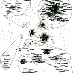 Naming network of the city of Auckland New Zealand.