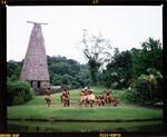 Transparency: Pacific Harbour Cultural Centre Fiji